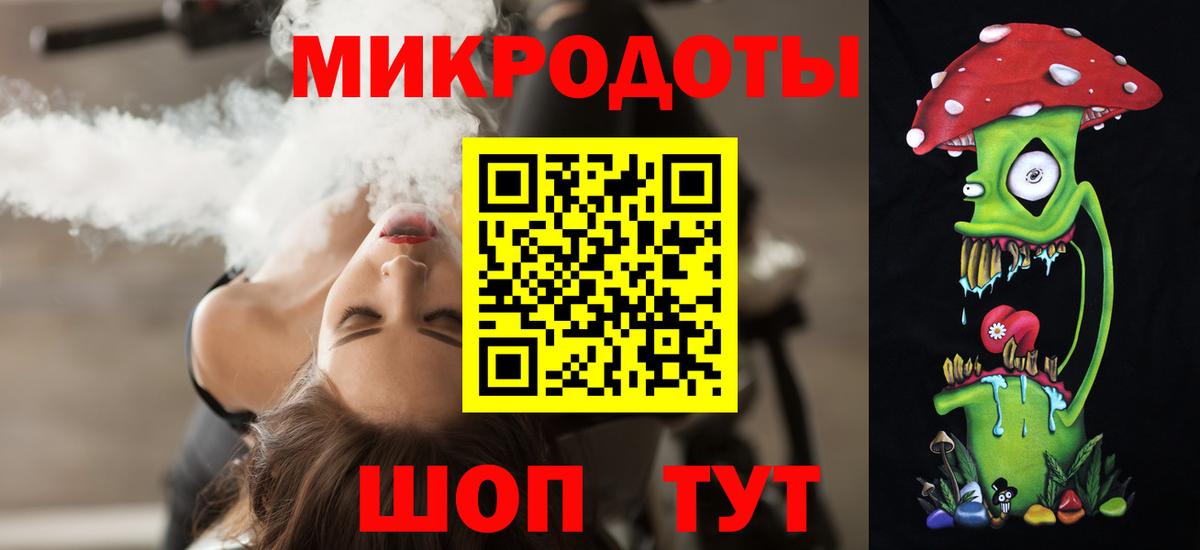 Галлюциногенные грибы Psilocybe Сочи