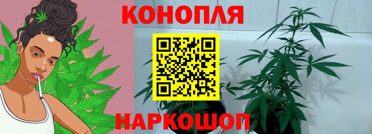 Шишки марихуана White Widow  Бошки Шишки семена  Вход с VPN  МАРИХУАНА AK-47  Сочи 